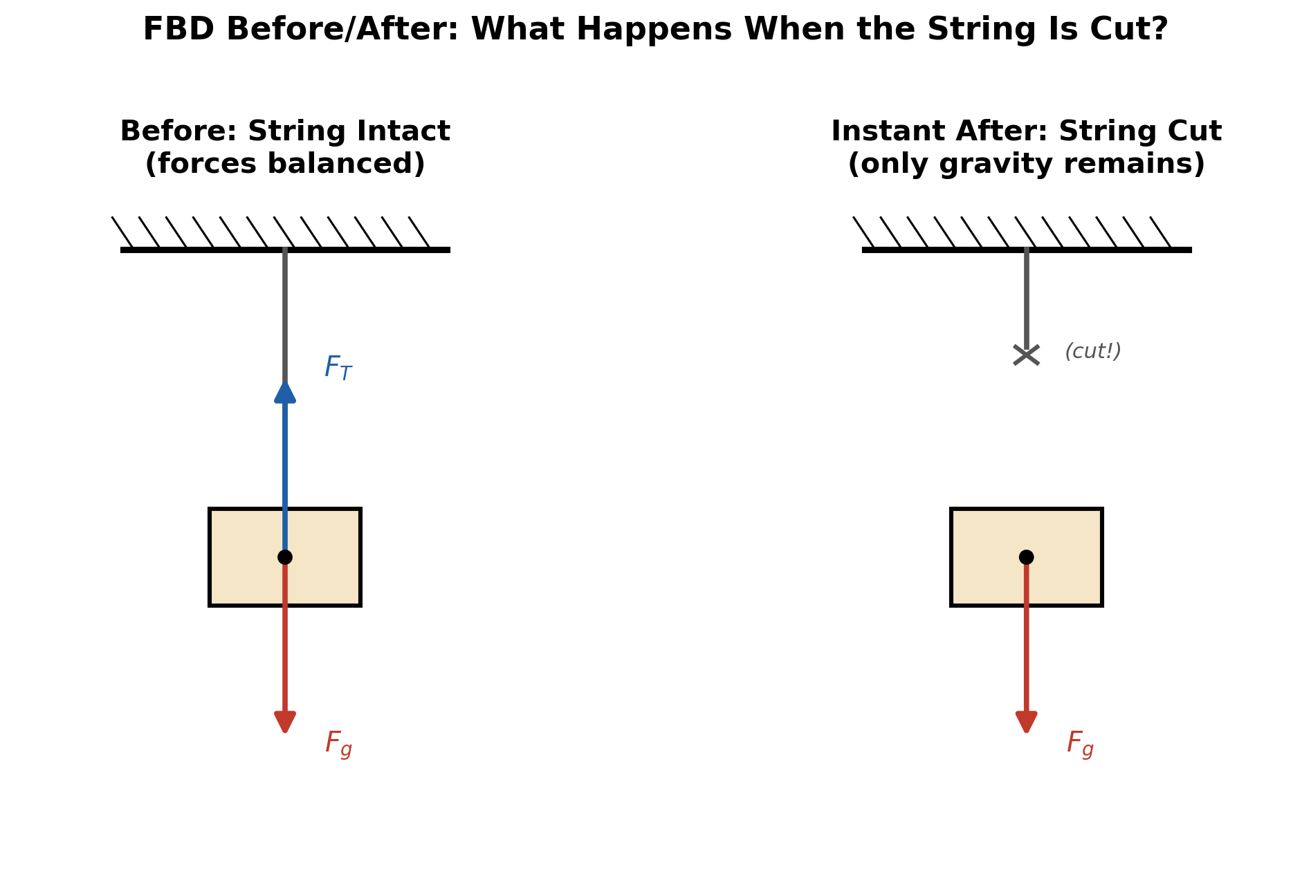Two side-by-side free-body diagrams of a hanging sign: before the rope is cut, tension and gravity are equal and opposite; the instant after the rope is cut, only gravity remains acting on the sign
