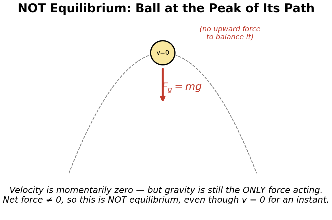 A ball at the peak of its thrown path, momentarily at rest, with only a gravity arrow acting on it and no upward force to balance it, labeled as NOT equilibrium