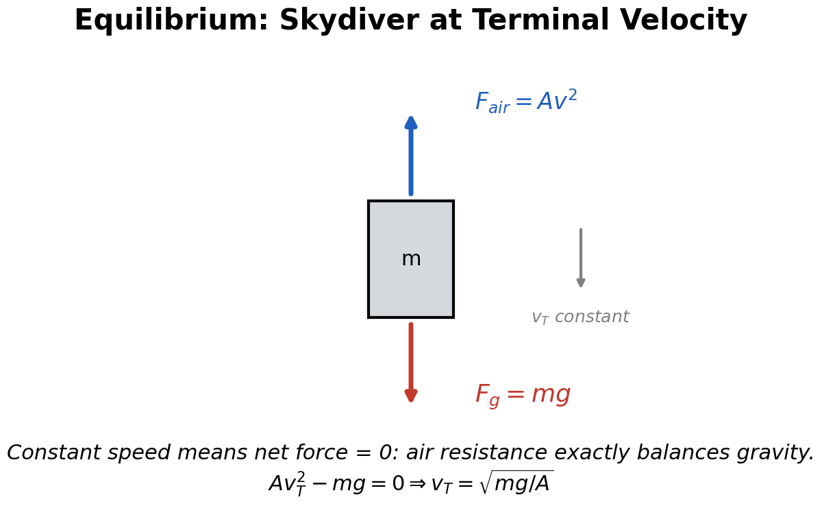 A free-body diagram of a skydiver at terminal velocity, with the air resistance force pointing up and gravity pointing down, exactly balanced so the net force is zero and speed stays constant