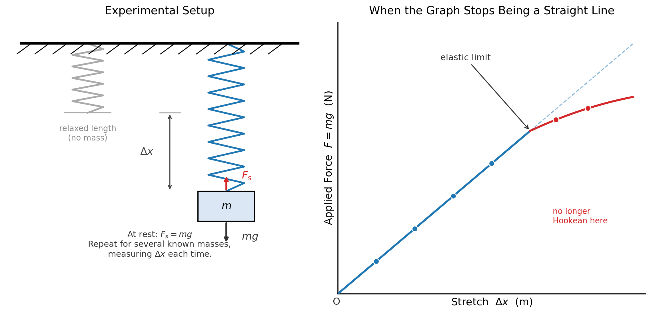 Left: an FBD-style sketch of a spring hanging a known mass, showing the stretch measured from the relaxed length, with force arrows F_s up and mg down. Right: a force-vs-stretch graph that follows a straight line at first, then curves away in red past a labeled elastic limit